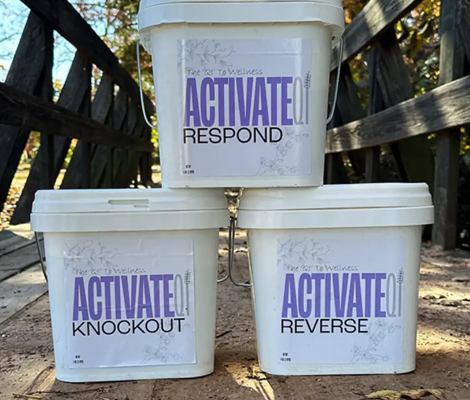 Three buckets of ActivateQi EPM Protocol from Rodeo Road Essentials, labeled as 'Respond', 'Knockout', and 'Reverse'. Ideal for immune support and pathogen elimination using the EPM approach.