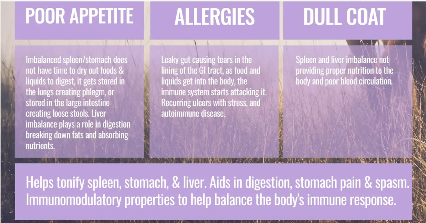 Infographic showing benefits of ActivateQi Gut Health Formula for Horses by Rodeo Road Essentials, emphasizing gut health, poor appetite, allergies, and dull coat.