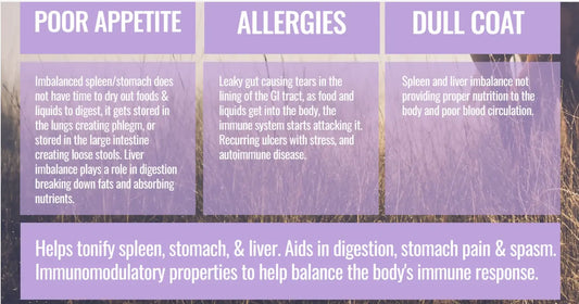 Infographic showing benefits of ActivateQi Gut Health Formula for Horses by Rodeo Road Essentials, emphasizing gut health, poor appetite, allergies, and dull coat.
