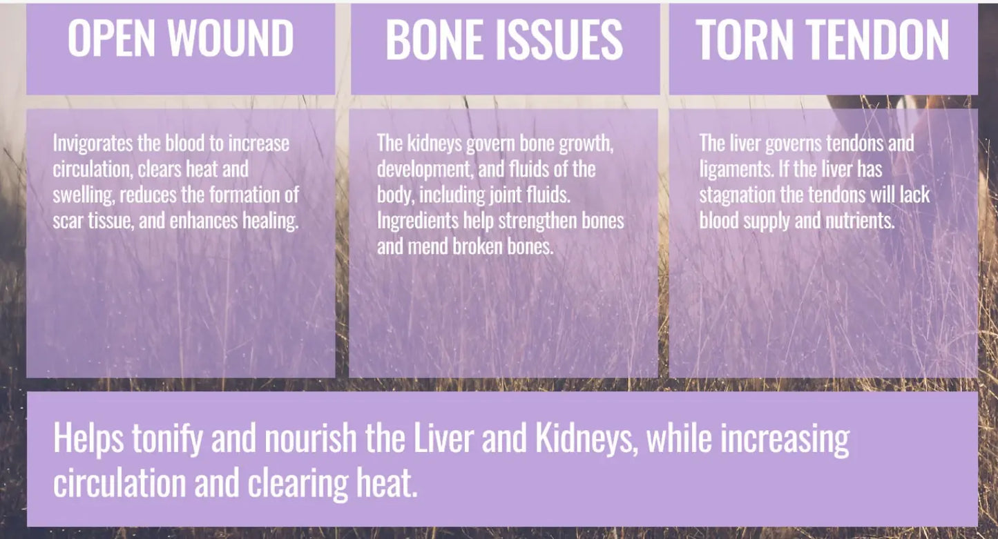 Graphic detailing benefits of ActivateQi Repair by Rodeo Road Essentials, focusing on open wounds, bone issues, and torn tendons.