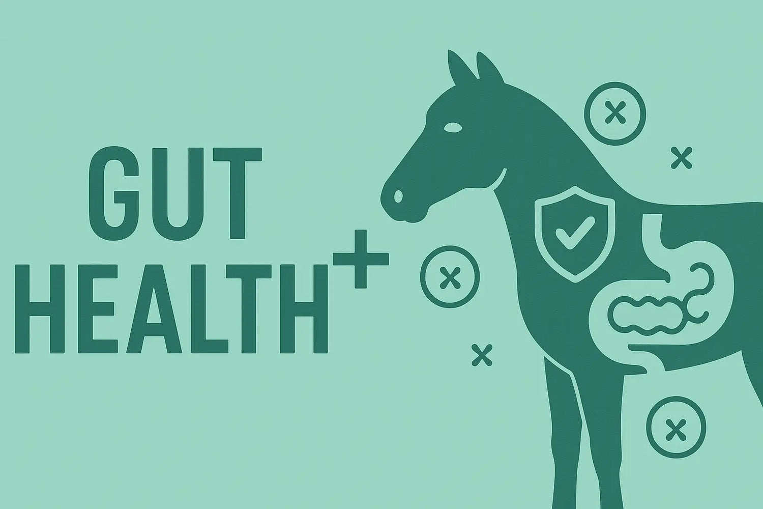 Illustration of a horse with a focus on gut health features, accompanied by the title 'Optimal Gut Health for Performance Horses.' Emphasizes the importance of gut health in enhancing horse performance and overall well-being.