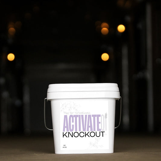Knockout ActivateQI