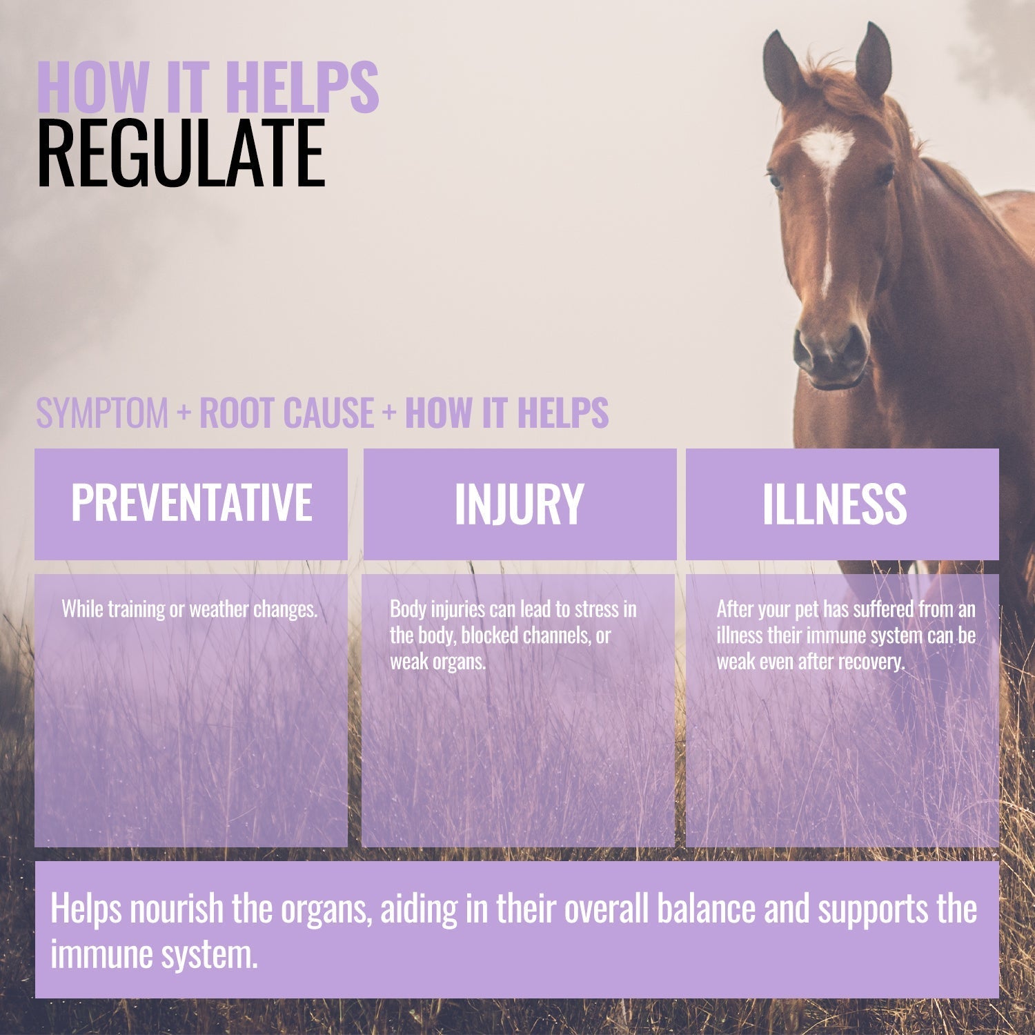 Regulate ActivateQI