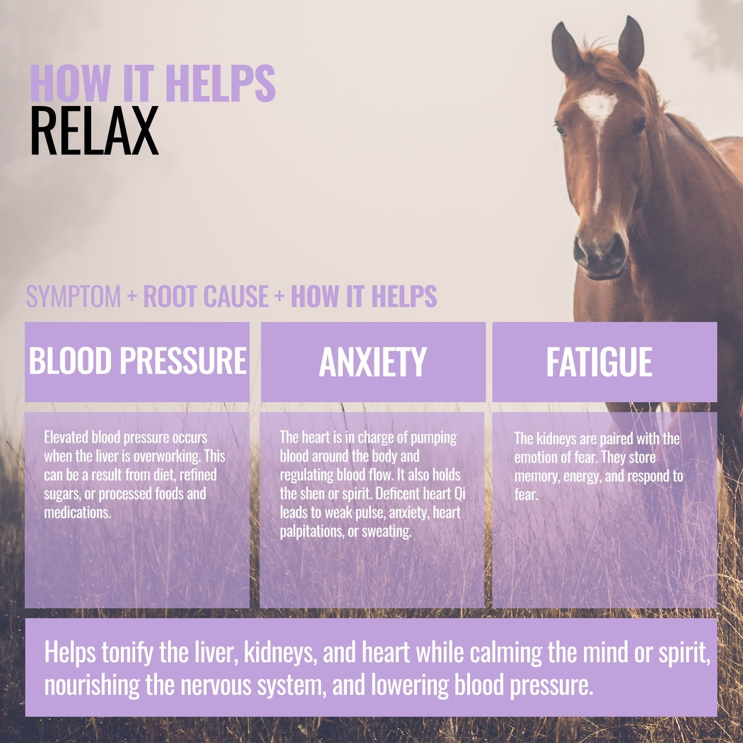 Relax ActivateQI