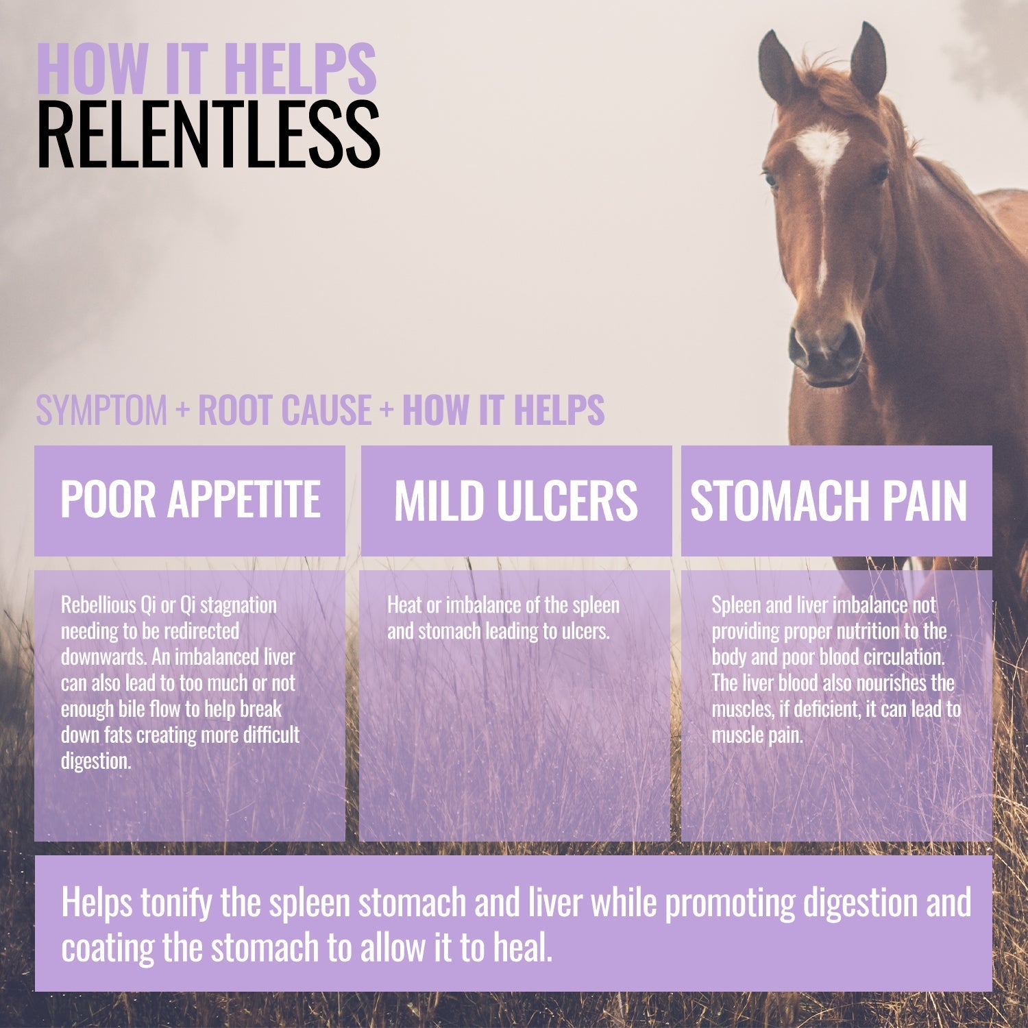 Relentless ActivateQI
