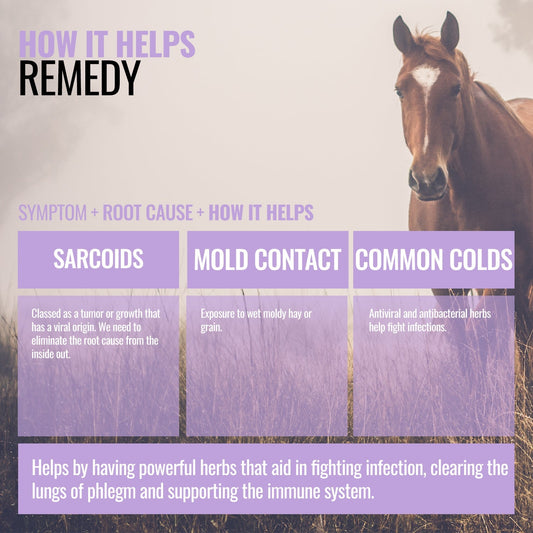 Remedy ActivateQI
