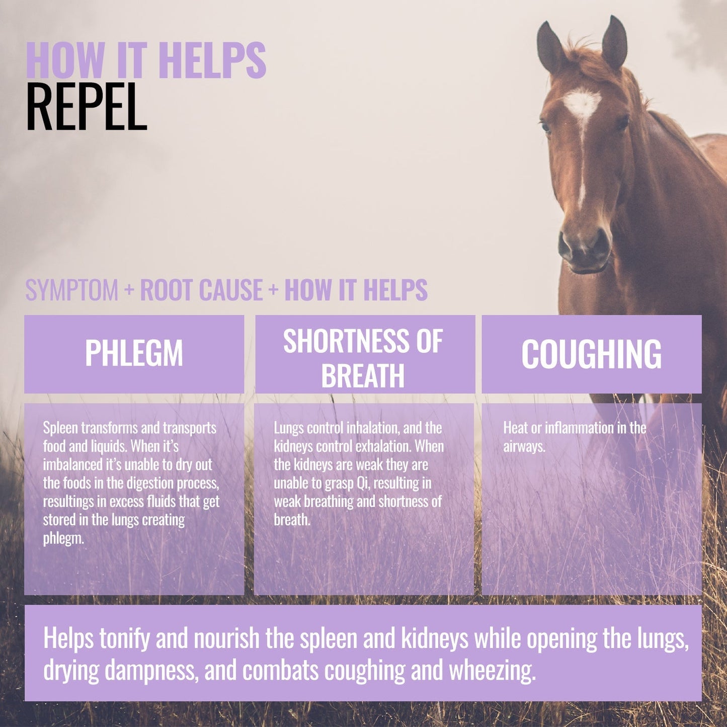 Repel ActivateQI