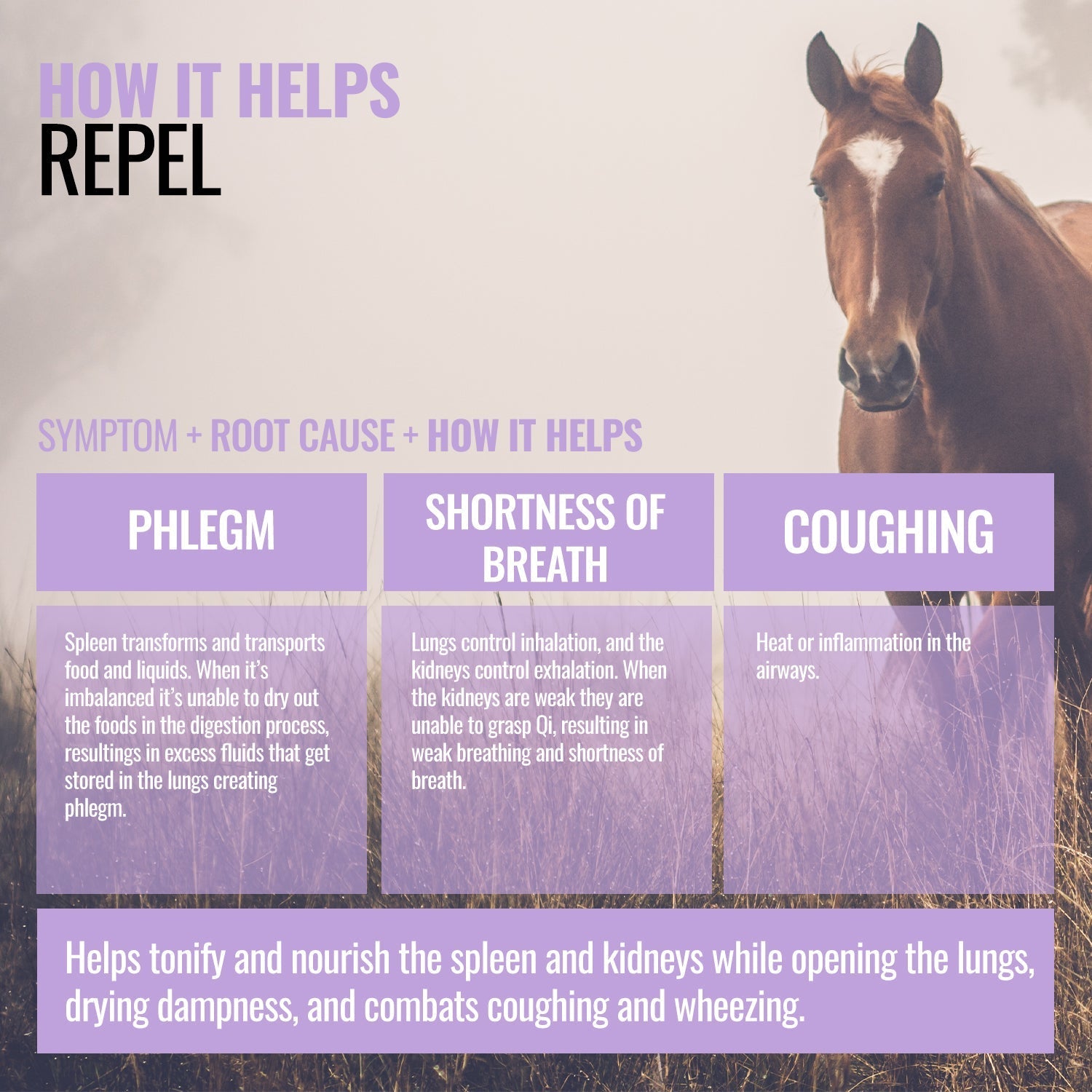 Repel ActivateQI