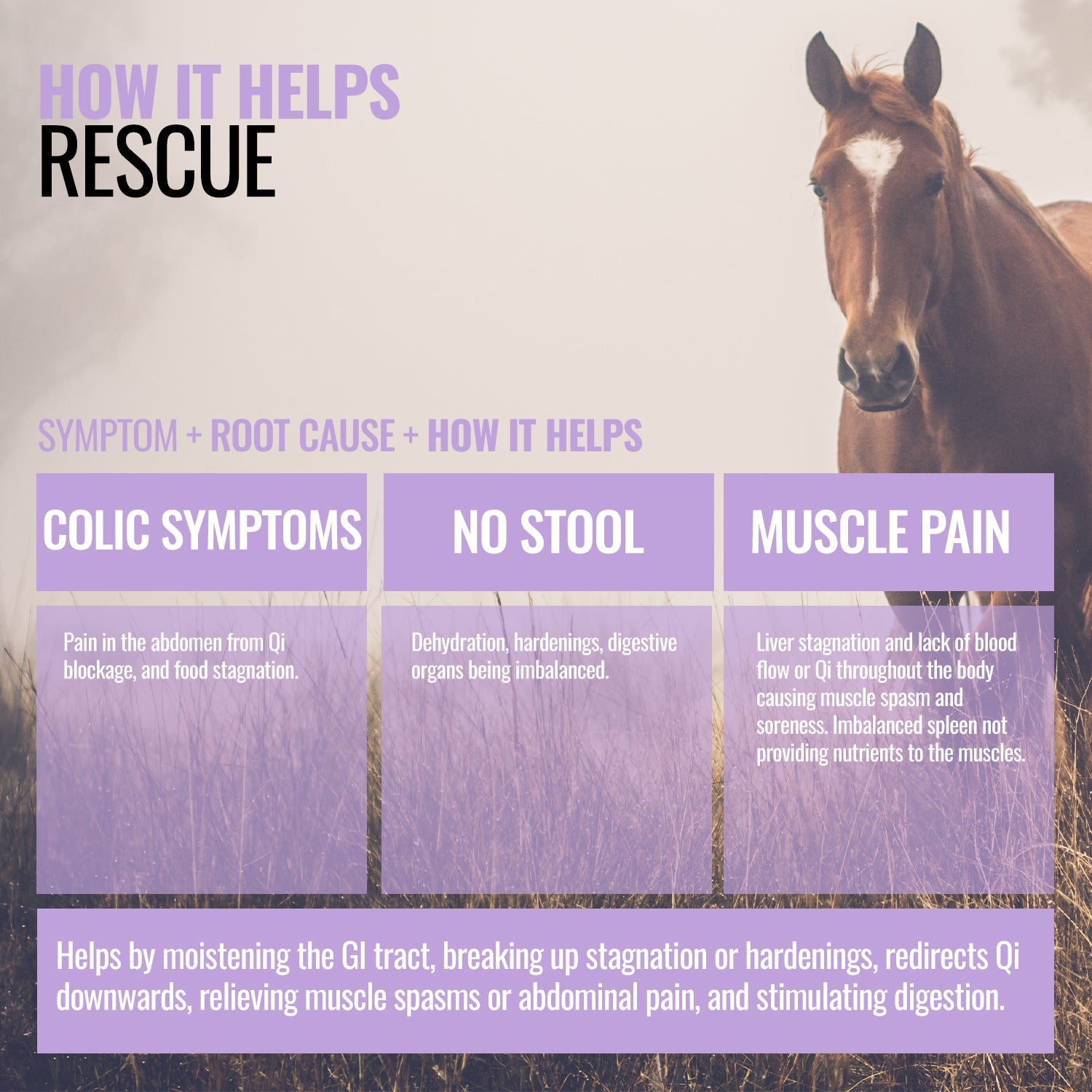 Rescue ActivateQI