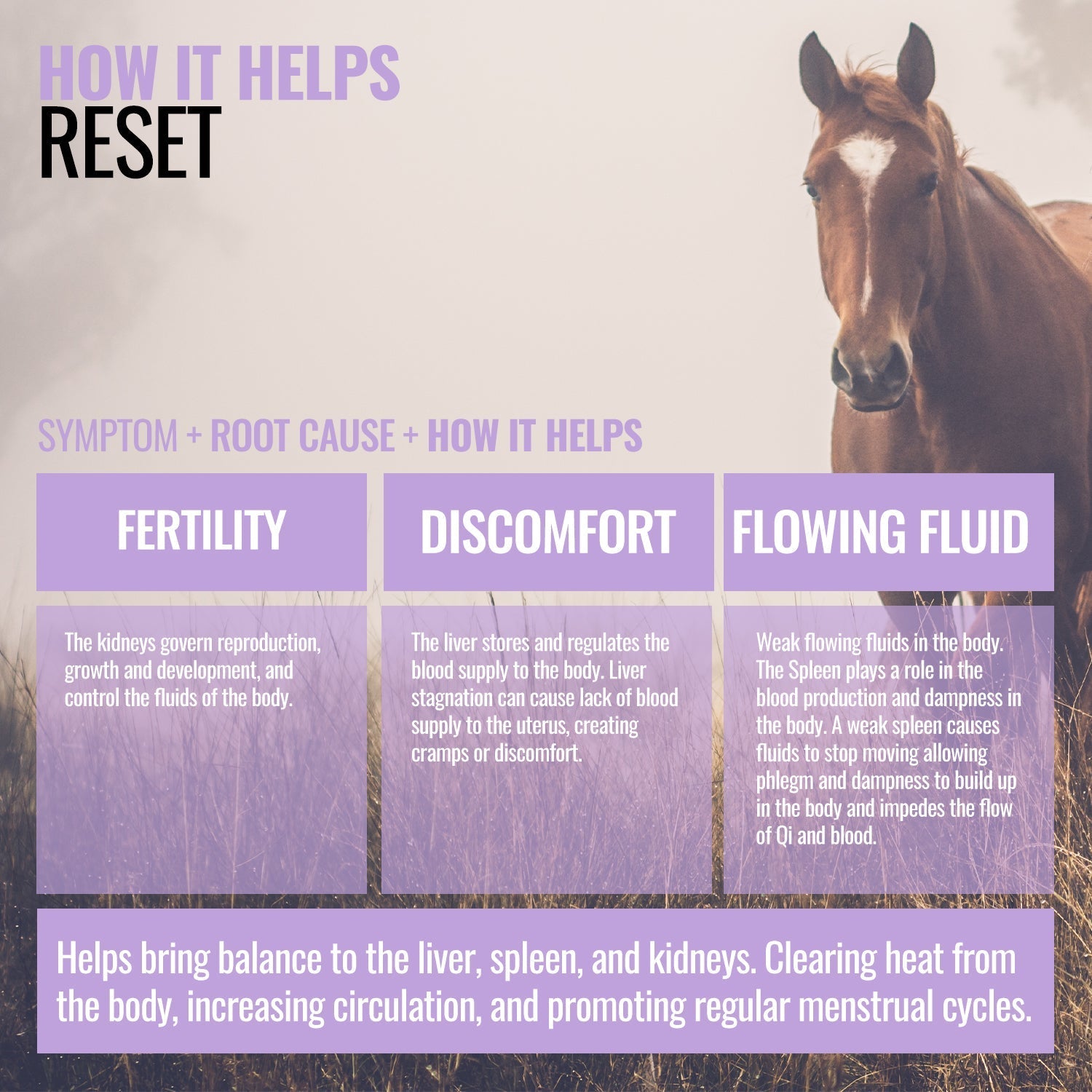 Reset ActivateQI