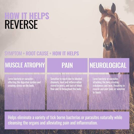 Reverse ActivateQI