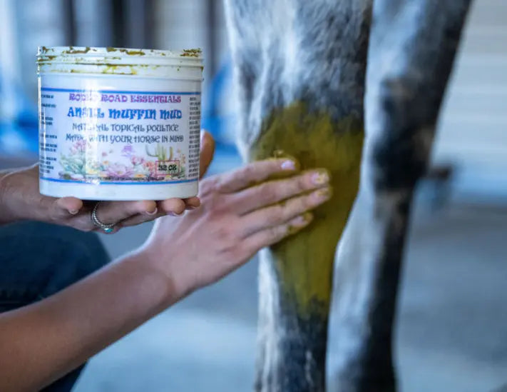 Close-up of a person’s hands applying Angel Muffin Mud on a horse's leg, showcasing the product’s herbal healing properties.