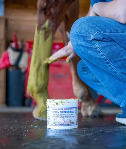 Person applying Angel Muffin Mud on a horse's leg, demonstrating the all-natural poultice’s application for sore areas.