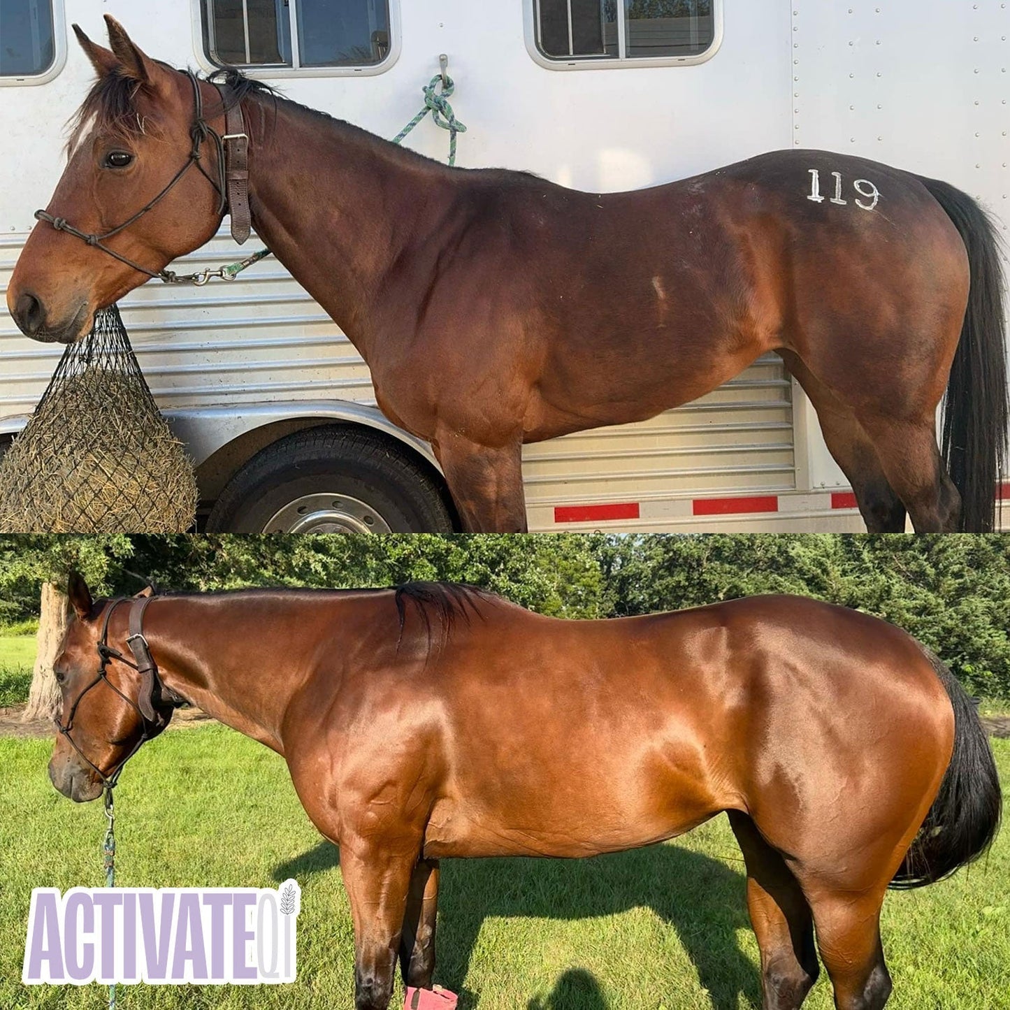 Relentless ActivateQI